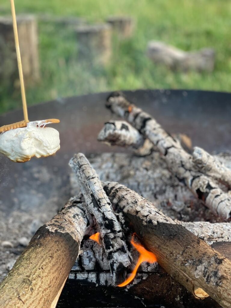 Close-up of marshmallow roasting over the fire
